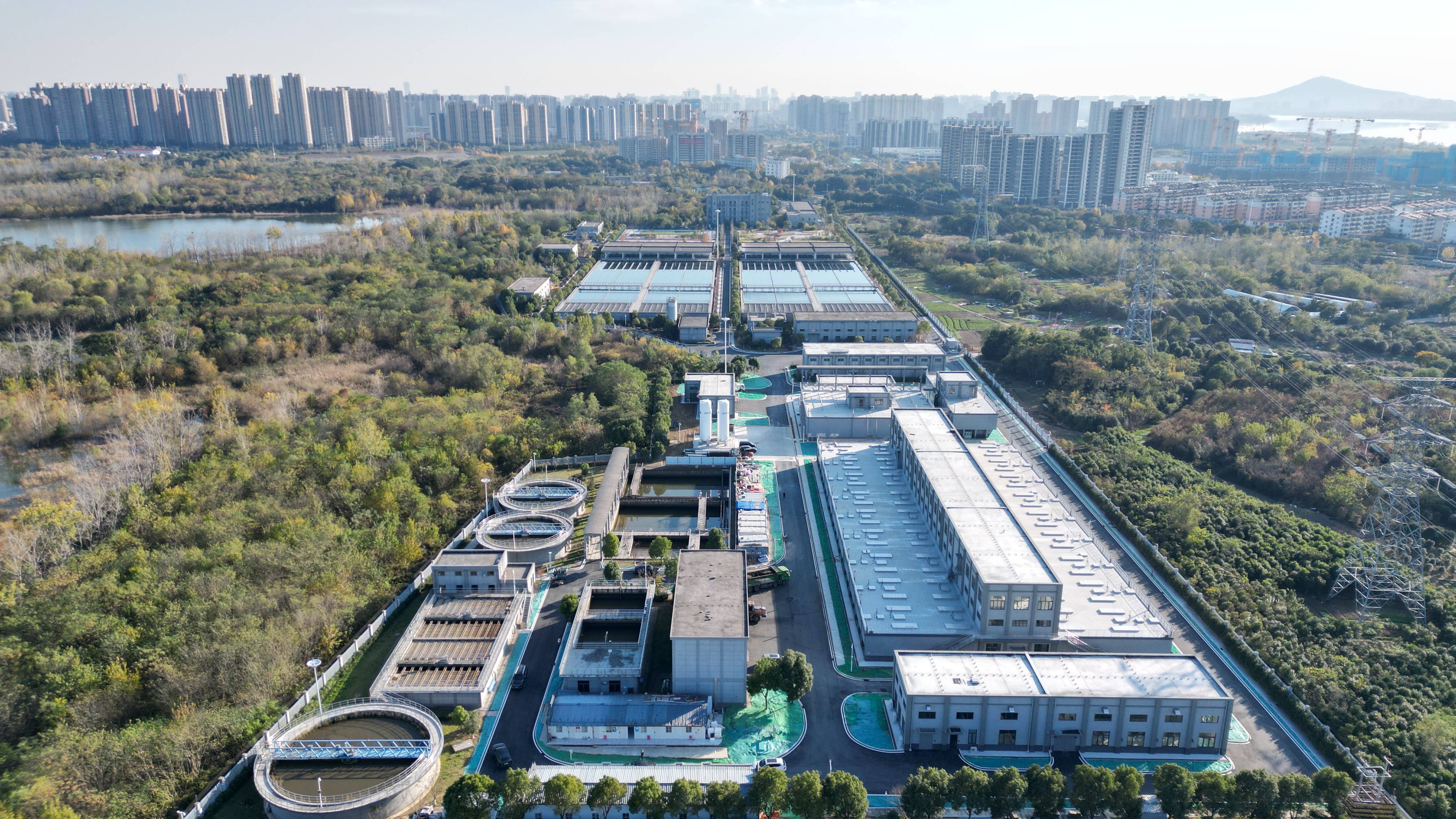 那曲市合肥专业企业价值增长(合肥市重点企业产业目录)