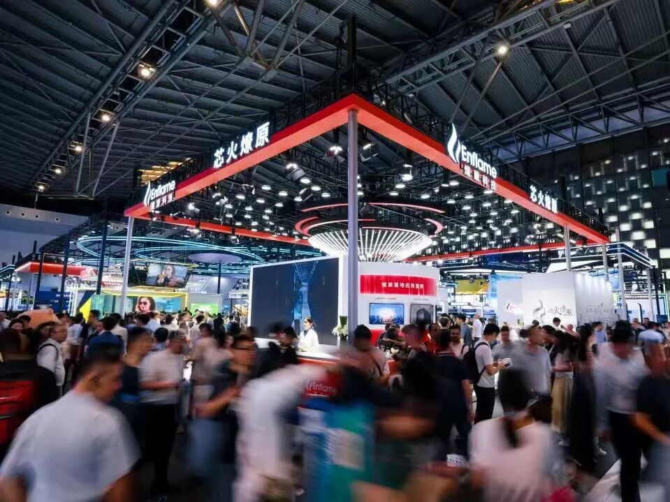 那曲市成熟期IPO辅导(成熟期的上市公司有哪些)