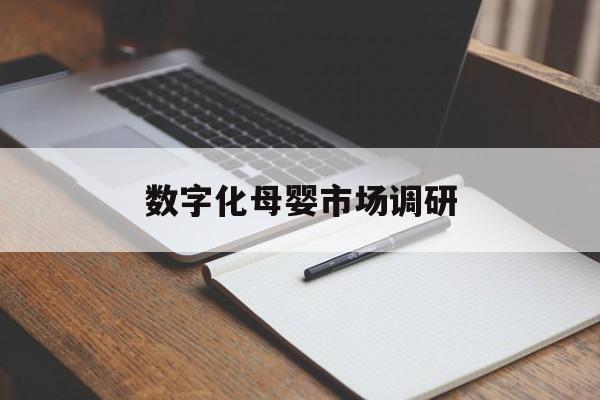 那曲市数字化母婴市场调研(数字化母婴市场调研报告)