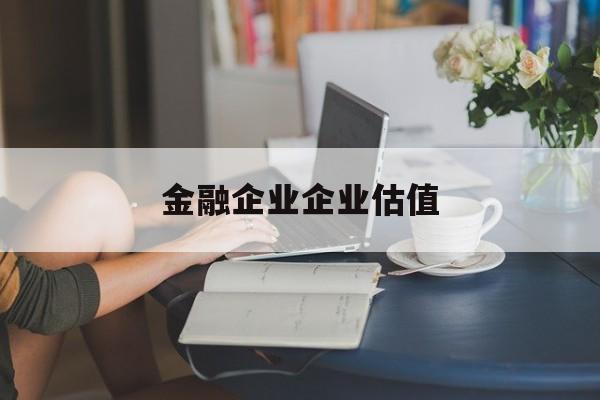 那曲市金融企业企业估值(最新企业估值怎么填)